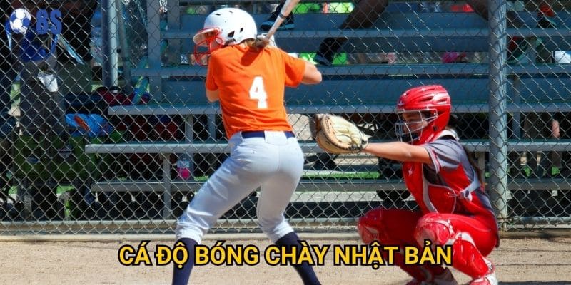 Tại sao cá độ bóng chày Nhật Bản lại hấp dẫn người chơi tại 8s?