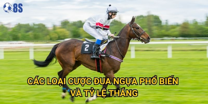 Phương pháp nào để soi kèo đua ngựa ăn tiền tại 8s hiệu quả nhất? 3 Các loại cược đua ngựa phổ biến và tỷ lệ thắng
