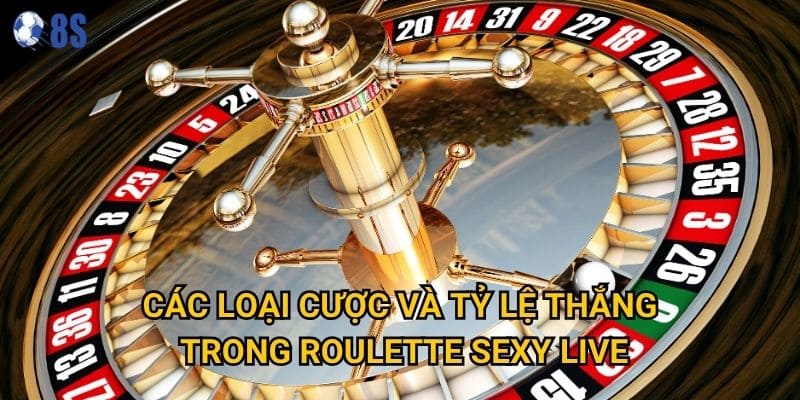 Tại sao roulette sexy live tại 8s lại thu hút đông đảo người chơi? 3 Các loại cược và tỷ lệ thắng trong roulette sexy live