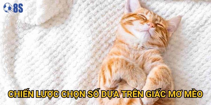 Làm sao để hiểu đúng mơ thấy mèo đánh số gì tại 8s? 3 Chiến lược chọn số dựa trên giấc mơ mèo