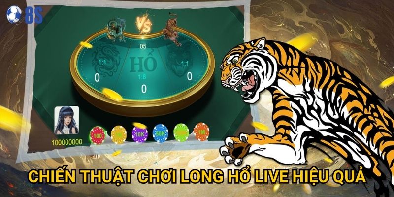 Người chơi thắc mắc kèo cược long hổ live có mấy cửa tại 8s? 3 Chiến thuật chơi long hổ live hiệu quả