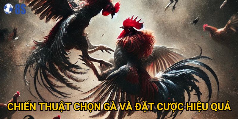 Bí quyết nào giúp Đá gà tre tại 8s mang lại chiến thắng? 3 Chiến thuật chọn gà và đặt cược hiệu quả