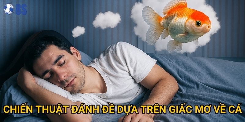 Giấc mơ thấy cá đánh đề số mấy tại 8s mang lại may mắn nào? 3 Chiến thuật đánh đề dựa trên giấc mơ về cá