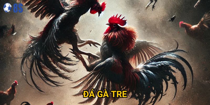 Bí quyết nào giúp Đá gà tre tại 8s mang lại chiến thắng?