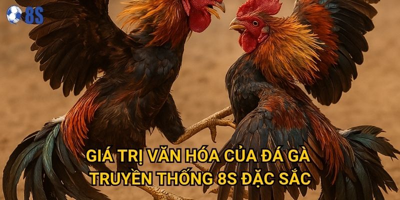 Tại sao Đá gà truyền thống tại 8s vẫn giữ được sức hấp dẫn? 2 Giá trị văn hóa của Đá gà truyền thống 8s đặc sắc