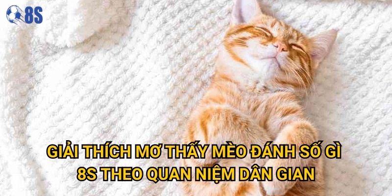 Làm sao để hiểu đúng mơ thấy mèo đánh số gì tại 8s? 2 Giải thích mơ thấy mèo đánh số gì 8s theo quan niệm dân gian