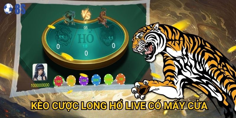 Người chơi thắc mắc kèo cược long hổ live có mấy cửa tại 8s?