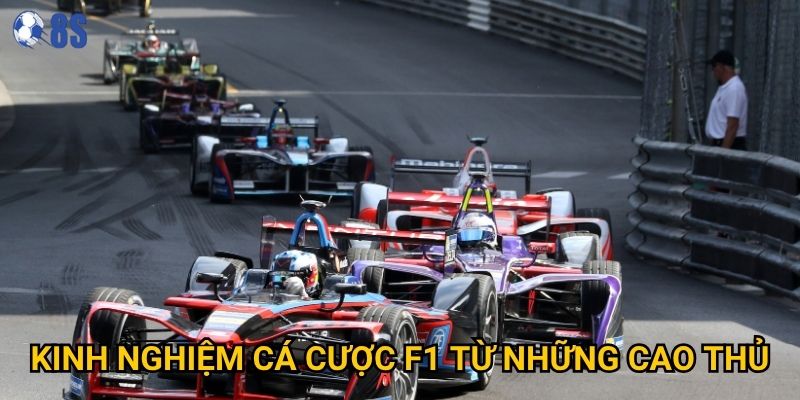 Kinh nghiệm cá cược F1 từ những cao thủ