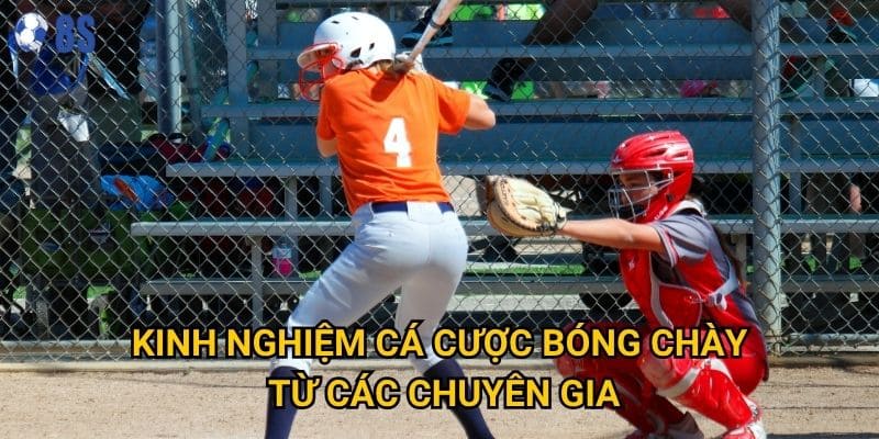 Kinh nghiệm cá cược bóng chày từ các chuyên gia