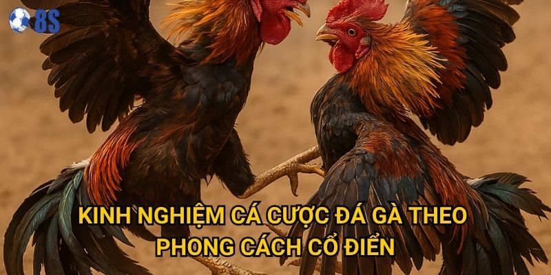 Tại sao Đá gà truyền thống tại 8s vẫn giữ được sức hấp dẫn? 3 Kinh nghiệm cá cược đá gà theo phong cách cổ điển