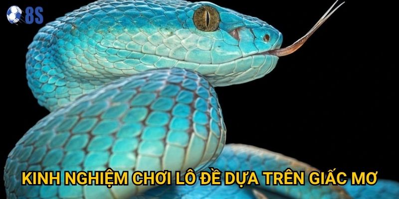 Người chơi thắc mắc mơ thấy rắn đánh con gì tại 8s để may mắn? 3 Kinh nghiệm chơi lô đề dựa trên giấc mơ