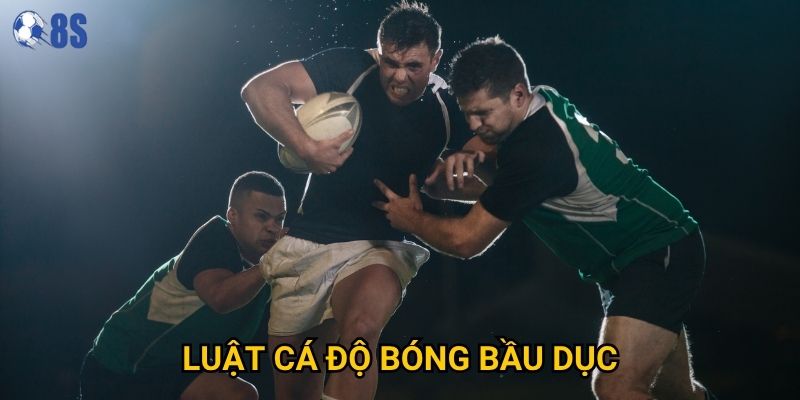 Những luật cá độ bóng bầu dục nào tại 8s người chơi cần nắm vững?