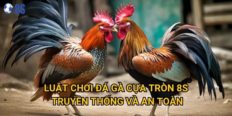 Làm sao để thành thạo Đá gà cựa tròn tại 8s một cách hiệu quả? 2 Luật chơi Đá gà cựa tròn 8s truyền thống và an toàn