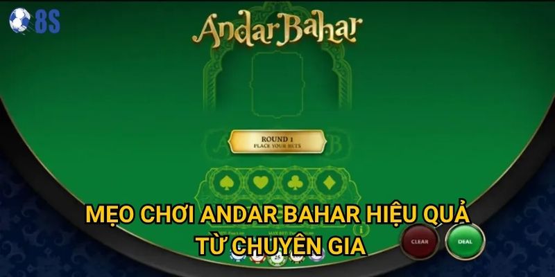 Mẹo chơi andar bahar hiệu quả từ chuyên gia