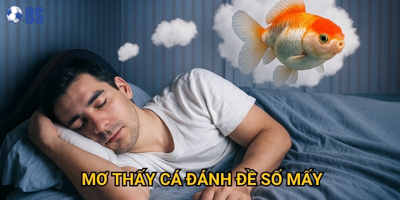 Giấc mơ thấy cá đánh đề số mấy tại 8s mang lại may mắn nào?