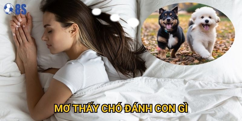 Giấc mơ thấy chó đánh con gì tại 8s báo hiệu điều gì?