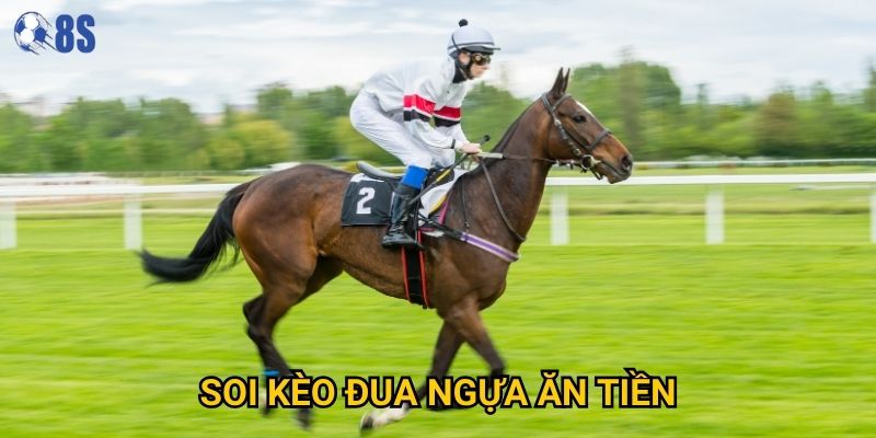 Phương pháp nào để soi kèo đua ngựa ăn tiền tại 8s hiệu quả nhất?