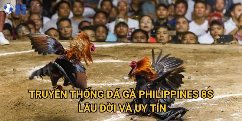 Truyền thống Đá gà Philippines 8s lâu đời và uy tín