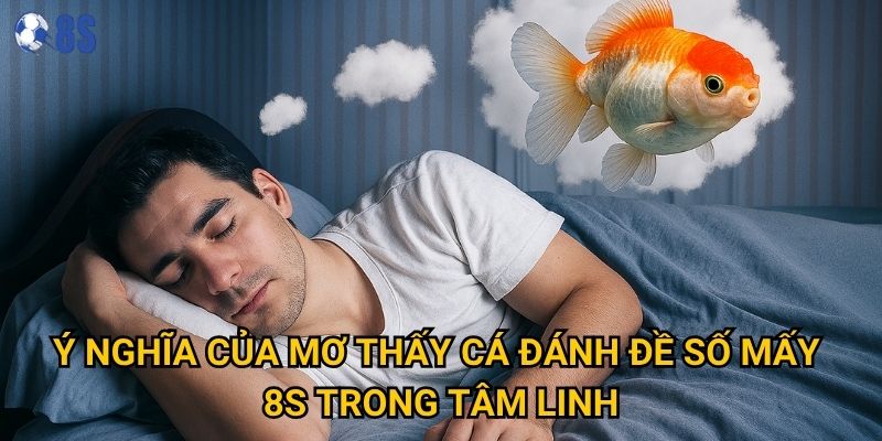 Giấc mơ thấy cá đánh đề số mấy tại 8s mang lại may mắn nào? 2 Ý nghĩa của mơ thấy cá đánh đề số mấy 8s trong tâm linh
