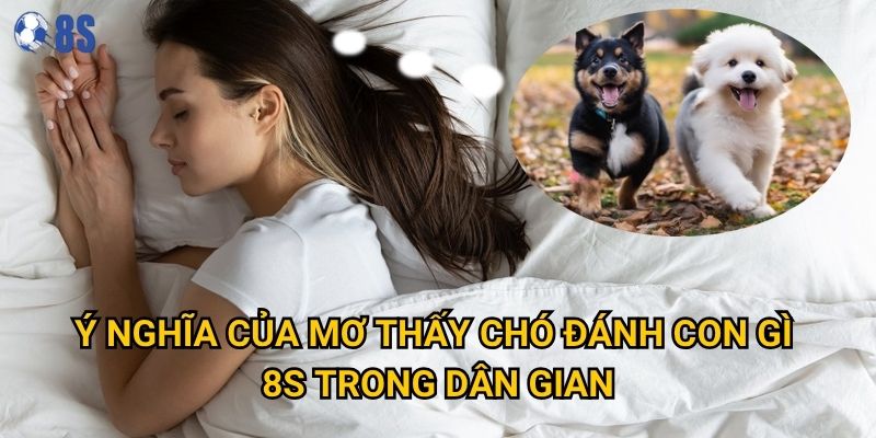 Giấc mơ thấy chó đánh con gì tại 8s báo hiệu điều gì? 2 Ý nghĩa của mơ thấy chó đánh con gì 8s trong dân gian