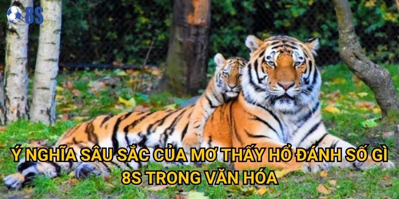 Tại sao mơ thấy hổ đánh số gì lại được coi là điềm may tại 8s? 2 Ý nghĩa sâu sắc của mơ thấy hổ đánh số gì 8s trong văn hóa